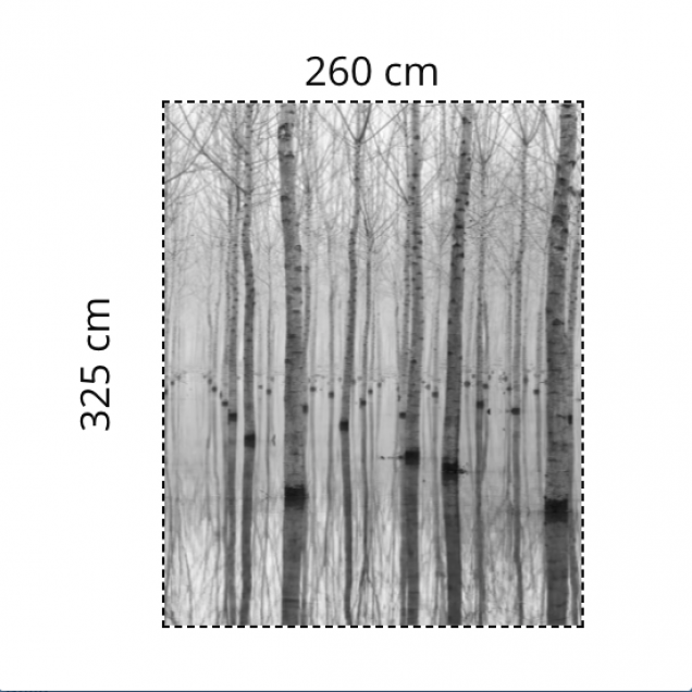 Fototapet Rebel Walls RBW-R16061-260x325. Conține culorile: Negru, Negru Închis, Gri, Telegri 4, Gri, Gri Prăfuit