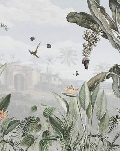 Botanical Beauty, Sir Edward