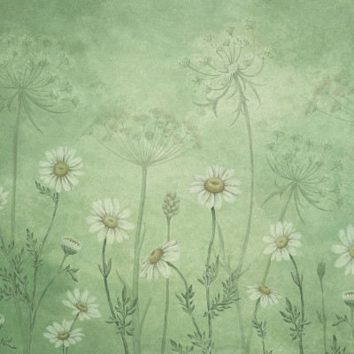 Fototapet floral cu margarete albe pe fundal verde