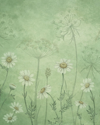 Fototapet floral cu margarete albe pe fundal verde
