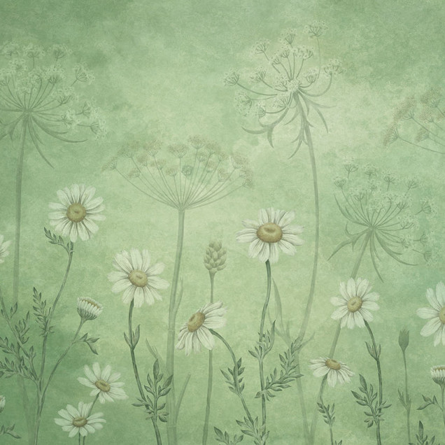 Fototapet floral cu margarete albe pe fundal verde