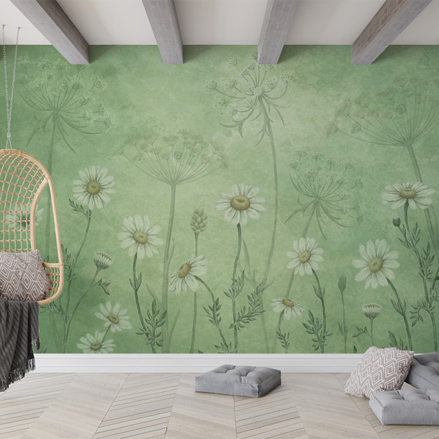 Fototapet floral cu margarete albe pe fundal verde