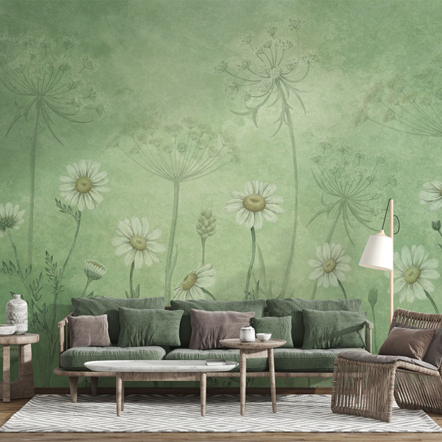 Fototapet floral cu margarete albe pe fundal verde