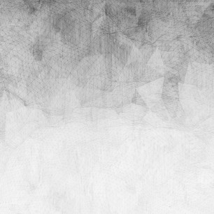 Fototapet Net, Grey, Tecnografica