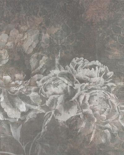Tapet floral cu bujori albi pe un fundal gri inchis, cu un model floral discret.