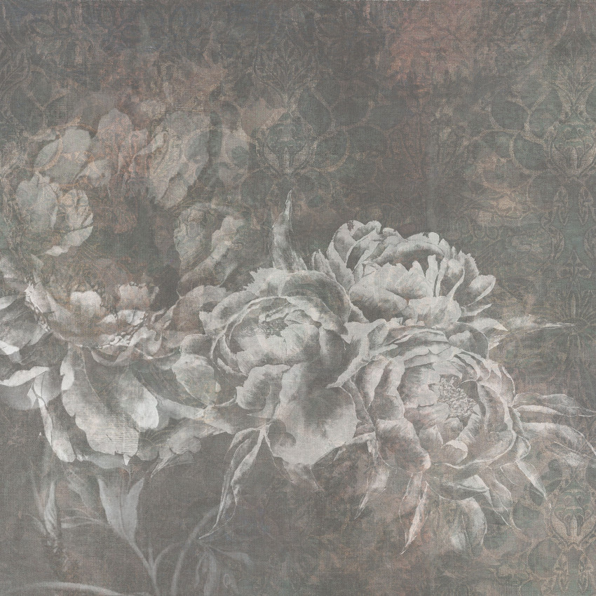 Tapet floral cu bujori albi pe un fundal gri inchis, cu un model floral discret.