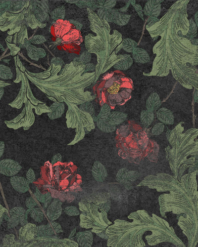 Tapet floral Howard, Original, cu flori rosii si frunze verzi pe un fundal negru.