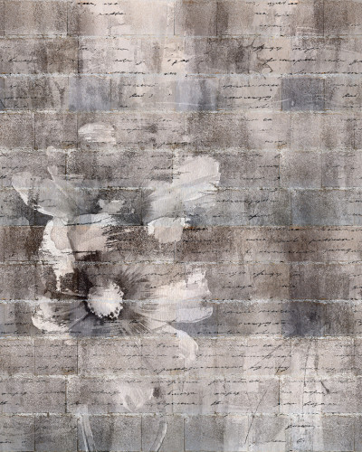 Tapet Chris, Monochrome, cu design vintage, scrisori vechi și flori delicate