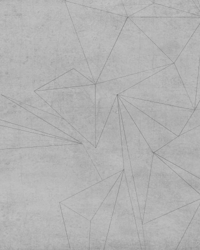 Tapet 3D cu design geometric subtil