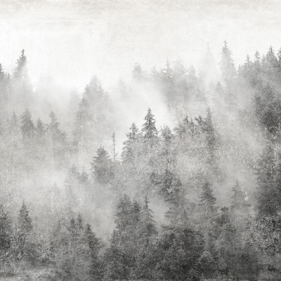 Fototapet monocrom cu design abstract care redă o pădure densă și ceață