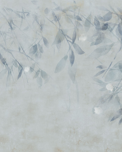 Willow, Cold, Tecnografica