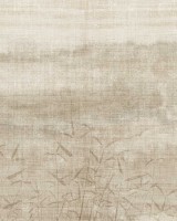 Yuki, Bamboo B, Tecnografica