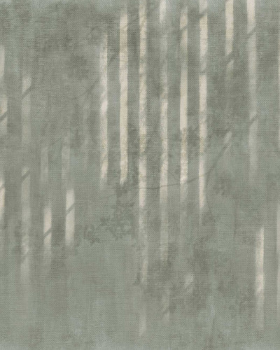 Tapet cu design minimalist, cu aspect de canvas, Mezame, Tropical.