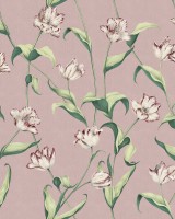 Cordelia, Powder Rose, Big, Tecnografica
