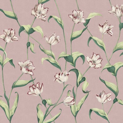 Cordelia, Powder Rose, Big, Tecnografica