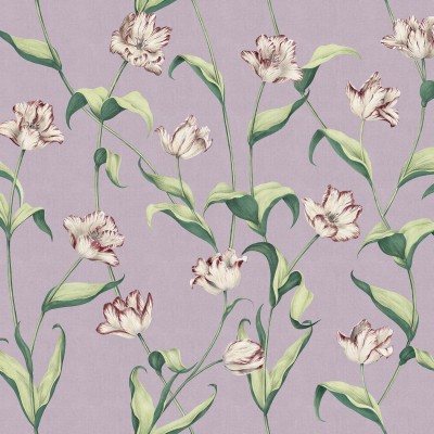 Tapet floral cu tulipane albe cu dungi de visiniu pe fond lavandă