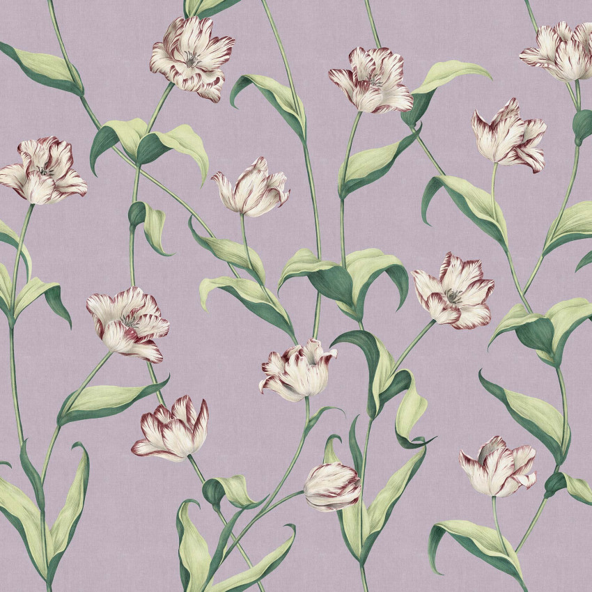 Tapet floral cu tulipane albe cu dungi de visiniu pe fond lavandă