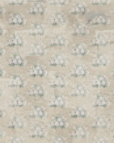 Beth, Beige, Tecnografica