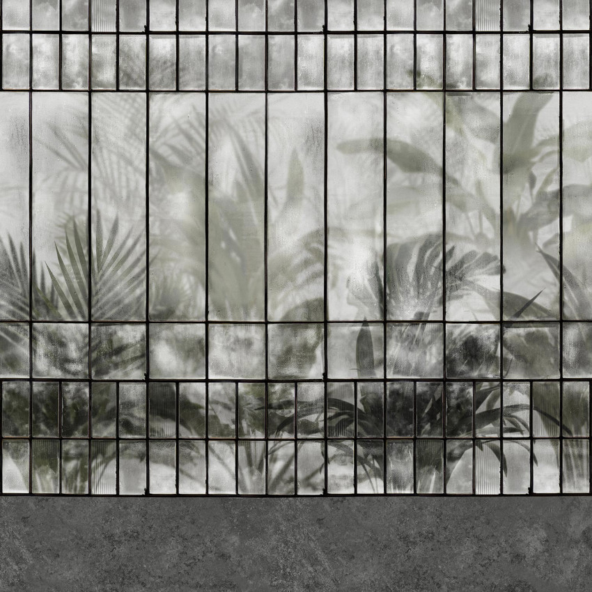 Wallpaper Serra, Gri cu design geometric. Imagine cu frunze de palmier printr-un geam, in nuante de gri.