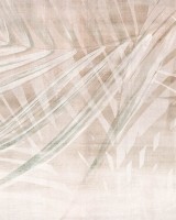 Oasi, Rose, Tecnografica