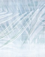 Oasi, Blue, Tecnografica