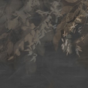 Fototapet Yaksi, Dark Rose, Tecnografica