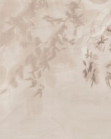 Yaksi, Beige, Tecnografica