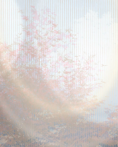 Fototapet cu design grafic albastru cu nuanțe de roz, inspirat din frumusețea naturii.