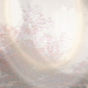 Fototapet Kairaku, Grey, Tecnografica