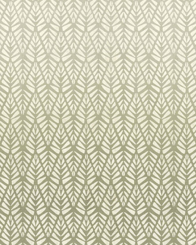 Rau, Olive Big, Tecnografica