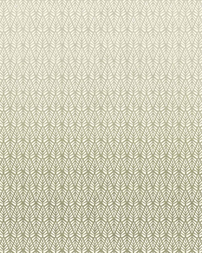 Rau, Olive Small, Tecnografica