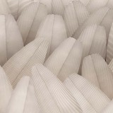 Honduras, White, Tecnografica