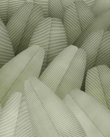 Honduras, Green, Tecnografica
