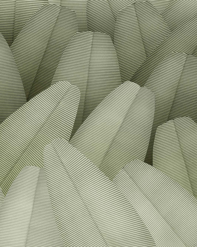 Honduras, Green, Tecnografica