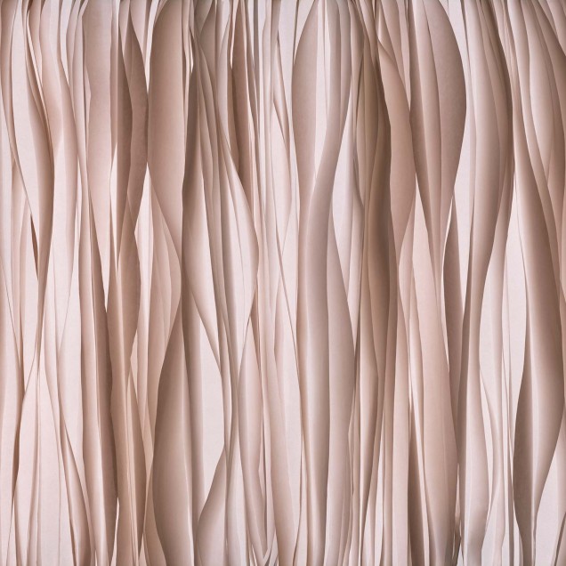 Tapet cu design modern, Chiffon, Cipria, cu linii fine si delicate, perfect pentru a crea o atmosfera eleganta si relaxanta.