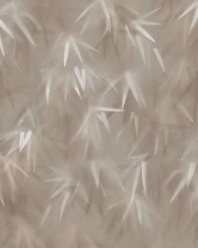 Tapet modern cu design minimalist, Haze, Sand