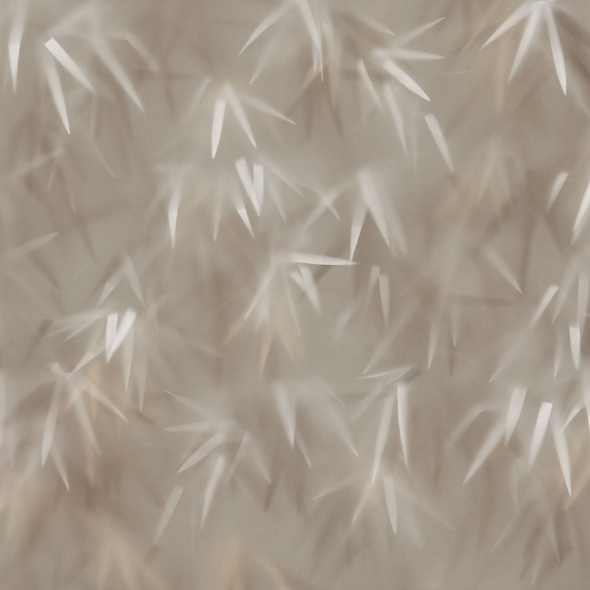 Tapet modern cu design minimalist, Haze, Sand