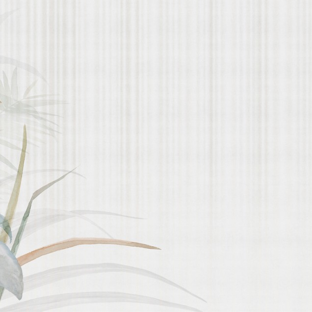 Capo Verde, Color, un Capo Verde, Color modern cu design minimalist, inspirat de natură.  Culorile delicate și motivele florale creează o atmosferă caldă și primitoare, perfectă pentru a vă relaxa și a vă bucura de un moment de liniște.