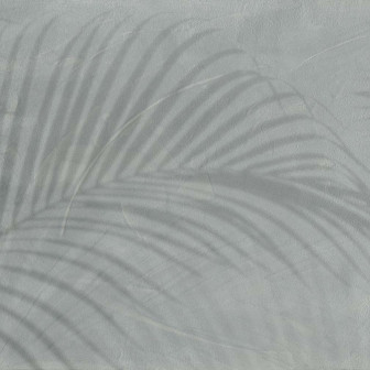 Fototapet cu umbre de frunze tropicale