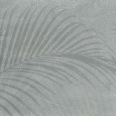 Fototapet cu umbre de frunze tropicale