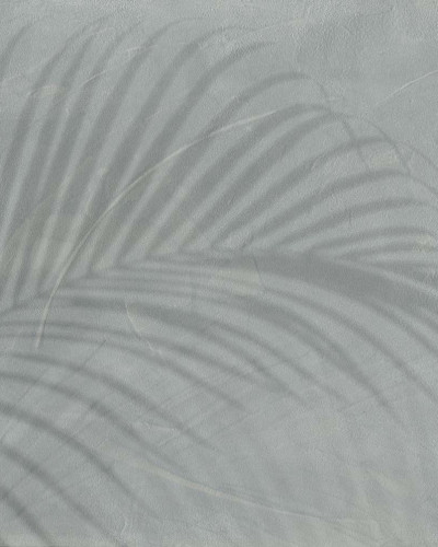Fototapet cu umbre de frunze tropicale