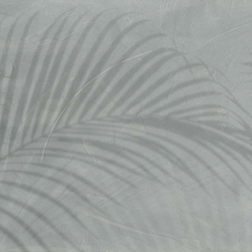 Fototapet cu umbre de frunze tropicale