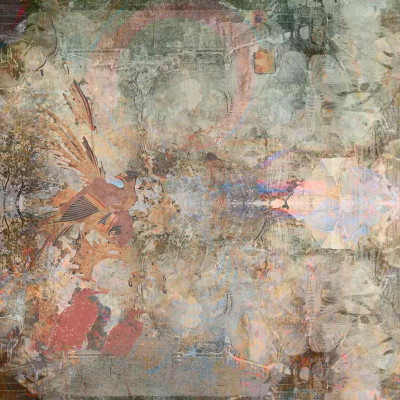 Mad: Okavango, Color - Tapet decorativ cu design exotic, perfect pentru living, dormitor sau hol
