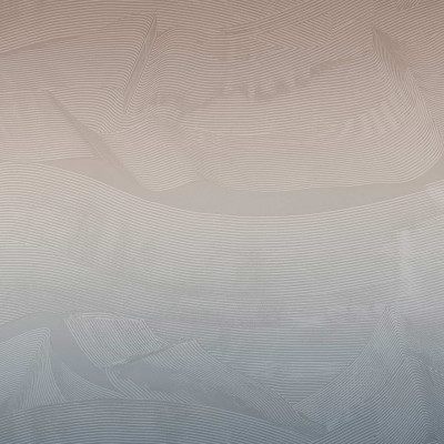 Tapet abstract cu linii delicate în nuanțe de albastru și bej