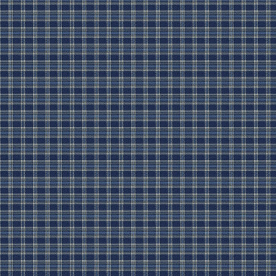 Tapet cu model tartan albastru și alb, încadrat de lambriuri din lemn, într-un living spațios cu mobilier clasic.