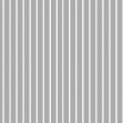 Gray and White Stripes, VLAdiLA