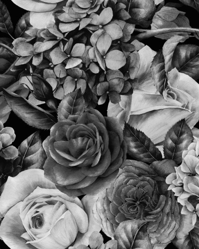 Tapet floral modern în nuanțe de gri și negru, cu flori delicate de trandafiri și hortensie.