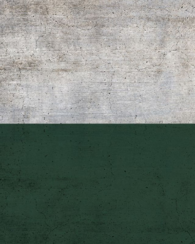 Tapet Better Green Half, cu design modern, combinand textura betonului gri cu un verde vibrant
