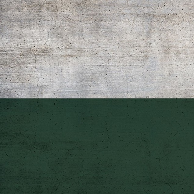 Tapet Better Green Half, cu design modern, combinand textura betonului gri cu un verde vibrant