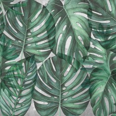 Fototapet Green Philodendron, personalizat, VLAdiLA